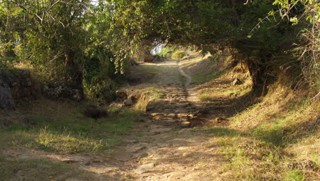 Camino-De-Piedra-En-El-Camino-Real-Barichara-A-Guane
