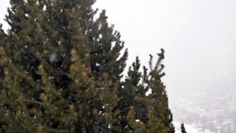 Unscharf-Baum-Mit-Schneefall-Im-Fokus-An-Einem-Bewölkten-Stürmischen-Tag-In-Den-Bergen