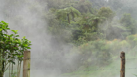 Dampf-Und-Nebel-Steigen-Durch-Das-Blätterdach-Der-Heißen-Quellen-Des-Dschungels-Auf