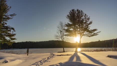 Sonnenaufgangszeitraffer-Im-Winter-Mit-Einem-Baum