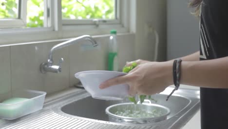 Spinatgemüse-In-Klarem-Wasser-Waschen-Und-In-Eine-Schüssel-Geben