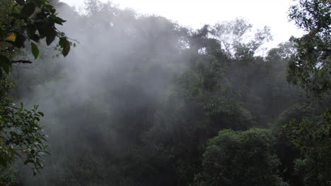 Dampf-Und-Nebel-Von-Heißen-Quellen,-Die-In-Den-Dschungel-Fließen,-Schließen