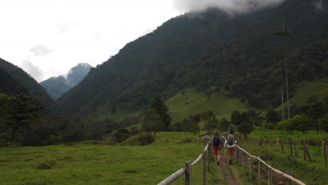 Tourists-Walking-Valley-Trail-Cocora-Colombia