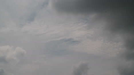 Nubes-Con-Gorriones-Volando-En-El-Cielo-A-Cámara-Lenta-De-Par-En-Par
