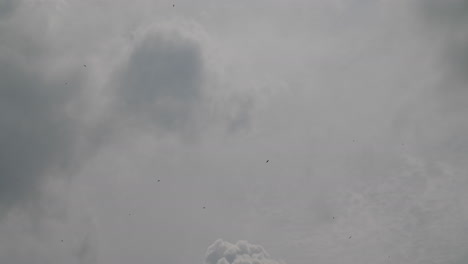 Nubes-Con-Gorriones-Volando-En-El-Cielo-A-Cámara-Lenta-Ampliada