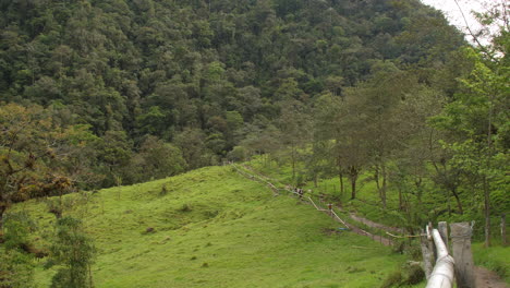 Touristen-Wandern-Durch-Tal-Mit-Dschungel-In-Der-Ferne-Cocora-Valley-Kolumbien