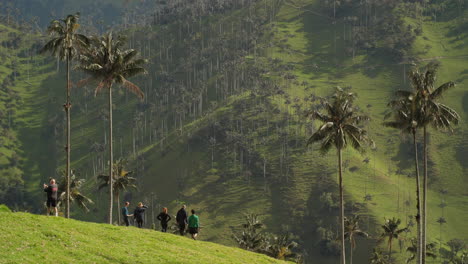 Many-Tourists-walking-at-a-beautiful-Lookout-Cocora-Valley-Slow-Motion