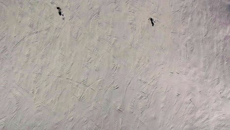 Vista-Aérea-Superior-De-Drones-Muchos-Esquiadores-Esquiando-En-Pistas-De-Esquí-Vacías-En-Nubes-De-Nieve-Por-La-Pista-En-Un-Día-Soleado