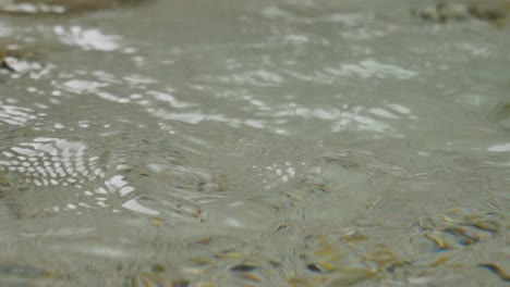 close-up-shot-of-clear-natural-water-moving-gently-and-calmly