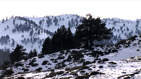 Bäume-In-Schneebedeckten-Bergen-Im-Norden-Griechenlands