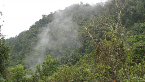 Dampf-Und-Nebel-Von-Heißen-Quellen,-Die-Aus-Dem-Dschungel-Fließen
