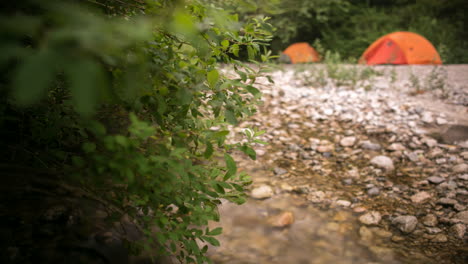Timelapse-of-Out-of-Focus-Tents-Along-Natural-Creek-and-Bushes