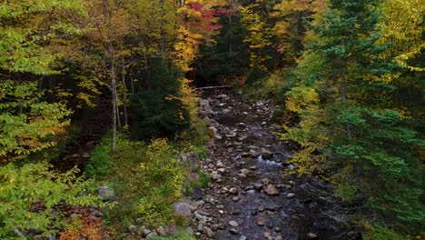 South-Branch-Gale-River-rise-toward-east-with-vibrant-fall-foliage-in-new-england