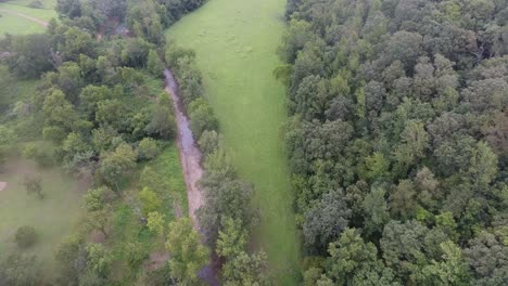 Aerial-footage-of-a-forest
