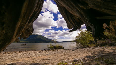 Timelapse-of-a-Beach-and-Active-Clouds-Looking-Out-from-Under-and-Old-Stump