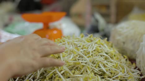 Closeup-of-asian-woman-hand-moving-around-a-pile-of-beansprout,-grabbing-some-and-then-putting-it-back-again