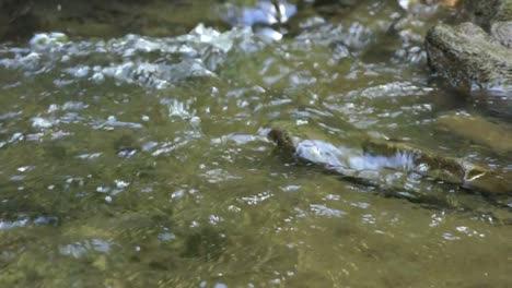Panning-Shot-of-River-Water-Rippling-Through-Rocks