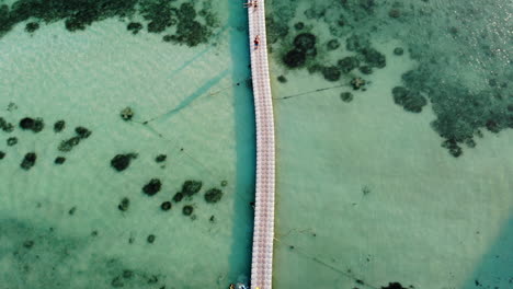 Top-view-of-a-pier-on-clear-waters-with-corals