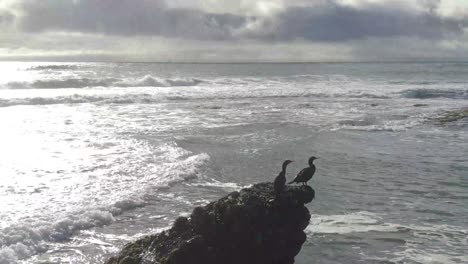 2-birds-on-an-ocean-rock,-arching-drone-shot