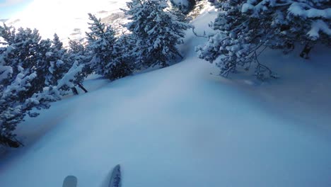 Punto-De-Vista-Esquiador-Profesional-Tallado-Fuera-De-Pista-Entre-árboles-En-Nieve-Profunda