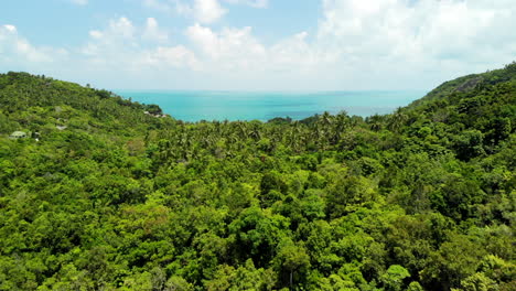 Drone-flight-over-a-jungle-with-turquoise-ocean-on-the-background