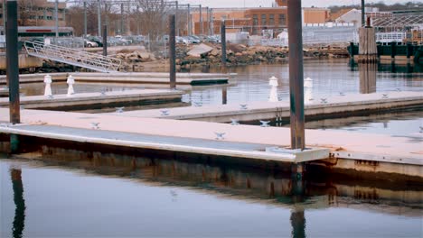 Wide-shot-of-boat-dock-floating-on-water,-early-morning