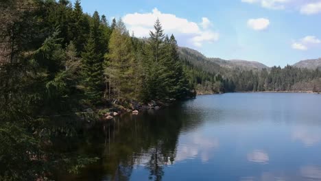 Drone-footage-of-a-lake,-flying-close-to-pine-trees,-Southern-Norway-in-spring,-full-HD-30p