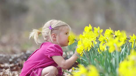Süßes-Kleines-Mädchen-Schnüffelt-Narzissenblume
