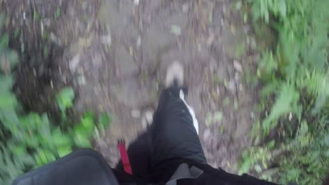 First-person-point-of-view-shot-of-feet-walking-on-a-rocky-path-at-a-tropical-jungle-with-small-trash-laying-around