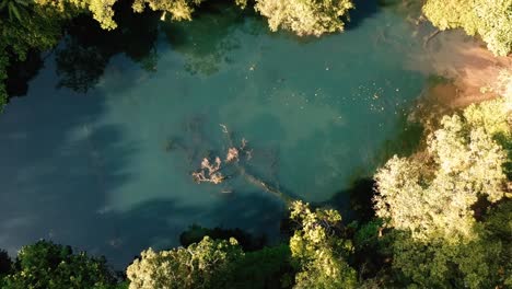 Drone-aerial-top-pull-back-of-the-hidden-Telaga-Biru-at-the-forest-near-Gede-Mountain-in-Java-island,-Indonesia