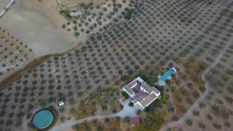 Aerial-shot-of-a-big-typical-white-house-of-Spain-surrounded-by-olive-fields-in-Andalusia