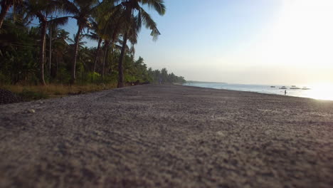 stable-shot-of-the-path-prospect-at-the-beach-on-Nusa-Penida-island-on-the-Sunset-near-palm-trees