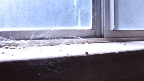 Verlassene-Fensterbank-Licht-Scheint-Durch-Spinnweben-Von-Links-Nach-Rechts-Gruselig