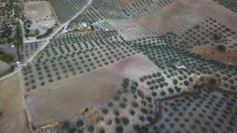Aerial-tilt-up-shot-of-spanish-countryside-with-hills,-olives-and-white-houses