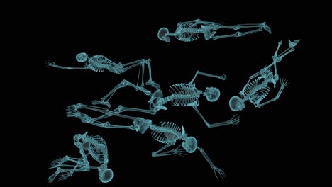 Röntgenbild-Eines-Menschen,-Das-Während-Der-Archäologischen-Forschung-Gefunden-Wurde