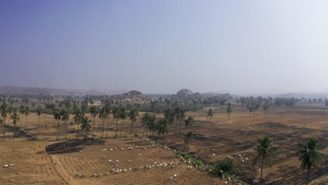 Beautiful-countryside-view-of-fields-and-trees-in-India