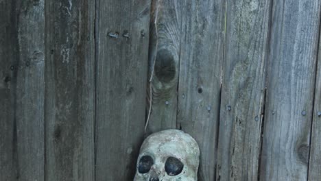 Pan-Down-to-Old-Ceramic-Skull-Leaning-Against-Weathered-Fence
