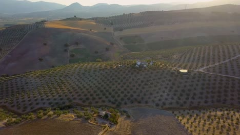 Luftaufnahme-Während-Des-Sonnenuntergangs-Von-Olivenfeldern-Mit-Einem-Weißen-Haus-Und-Sonnenstrahlen-Im-Süden-Spaniens