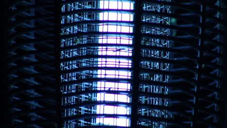 Bug-Zapper-at-Night-Electrocuting-Insects-Close-Up