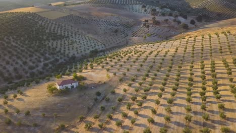 Luftaufnahme-Mit-Langsamer-Neigung-Eines-Großen-Hauses,-Umgeben-Von-Olivenfeldern,-Während-Des-Sonnenuntergangs-Im-Süden-Spaniens