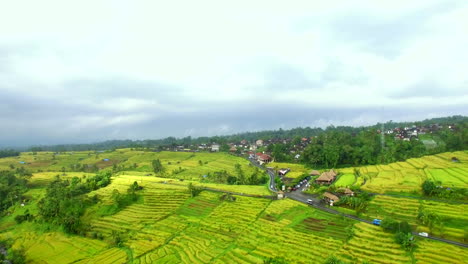 Drohne-Fliegt-über-Grüne-Reisterrassen-In-Indonesien-Bali-Grüne-Dschungeldorflandschaft