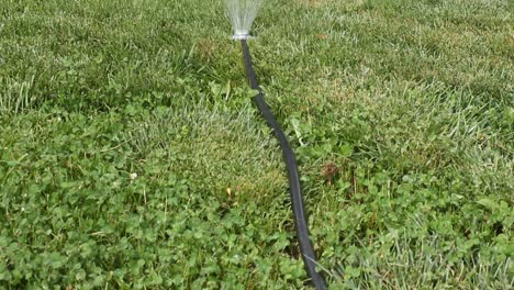 Lawn-Sprinkler-Pan-Up-Garden-Hose-on-Green-Grass-Suburban