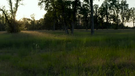 Drohne-Kippt-Einen-Schönen-Sonnenuntergang-Mit-Gras-Im-Vordergrund