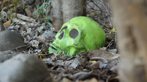Green-Ceramic-Skull-in-Leaves-with-Leaves-Falling-From-Trees