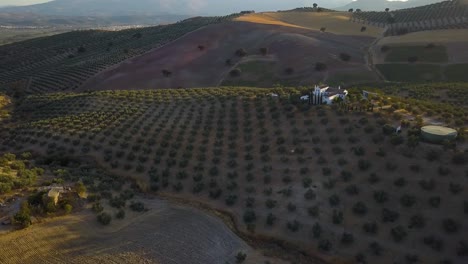 Aerial-shot-of-a-big-spanish-villa-surrounded-by-olives-during-the-sunset