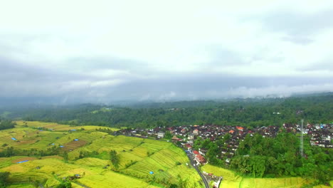 Drohne-Fliegt-Vorwärts-über-Grüne-Reisterrassen-In-Indonesien-Bali-Grüne-Dschungeldorflandschaft