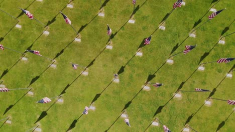 Rising-aerial-view-of-over-50-American-flags-in-rows