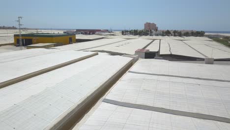 Luftaufnahme-über-Dem-Plastik-Von-Gewächshäusern-An-Der-Küste-Im-Süden-Spaniens