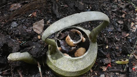 Old-metal-kettle-with-compost-on-the-compost-soil