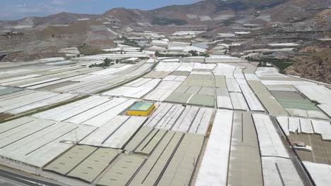 Aerial-view-of-a-sea-of-greenhouses-and-the-arid-mountains-of-the-coast-of-Almeria